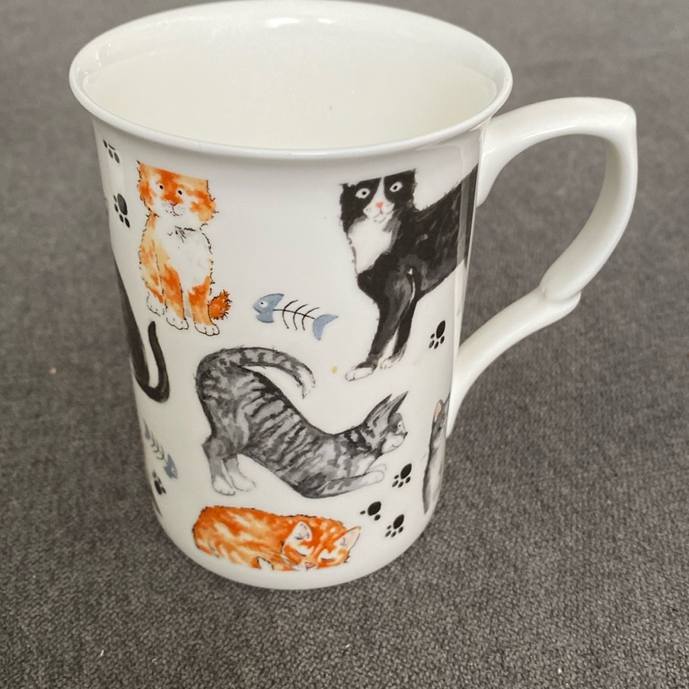 Collector Cat lovers mug cup beverage Adderley fine bone China